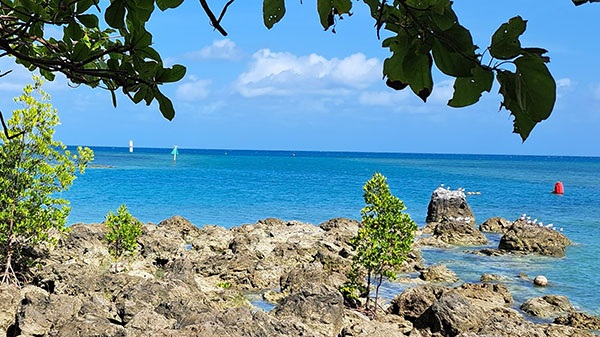 Torres Strait waters showing placement of navigation aids 